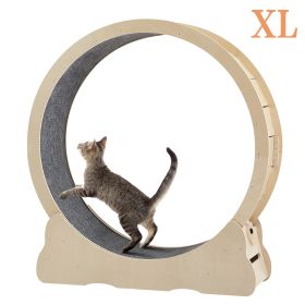 Cat Exercise Wheel - Indoor Cat Treadmill with Carpeted Running Track, Safety Cat Treadmill with Latch, Weighted Wheel for Cats